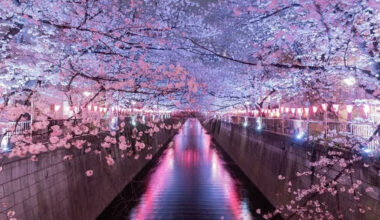 Shinjuku Unpacked A Travelers Guide to Tokyos Electric Heart