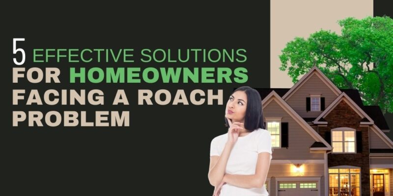 5 Effective Solutions for Homeowners Facing a Roach Problem