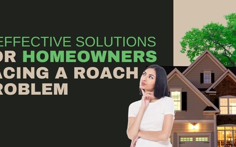 5 Effective Solutions for Homeowners Facing a Roach Problem