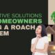 5 Effective Solutions for Homeowners Facing a Roach Problem