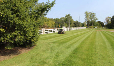 Customizing Your Lawn Care Service for Unique Landscape Needs