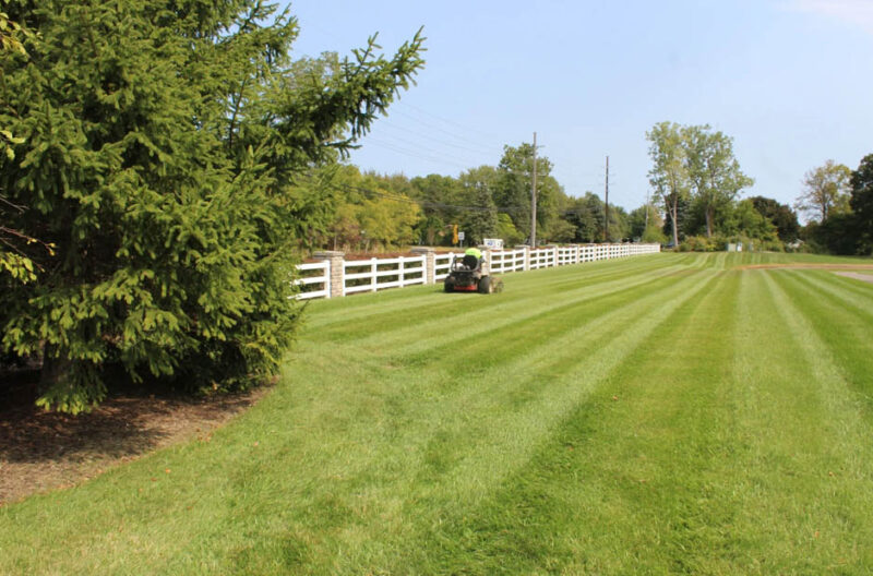 Customizing Your Lawn Care Service for Unique Landscape Needs
