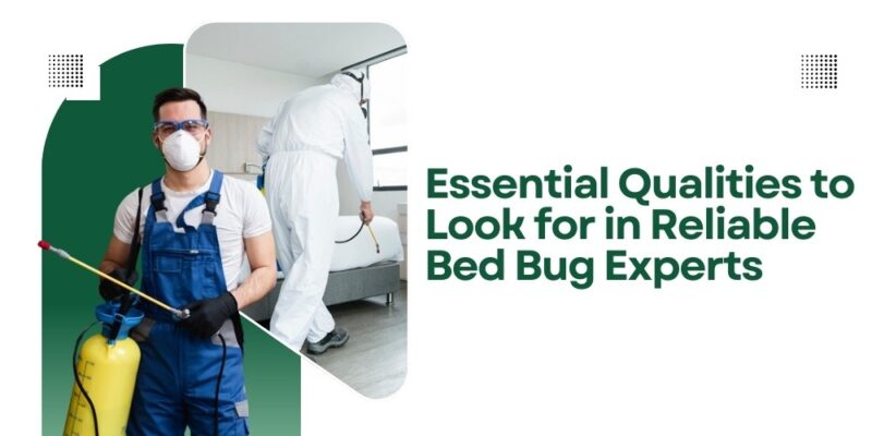 Essential Qualities to Look for in Reliable Bed Bug Experts