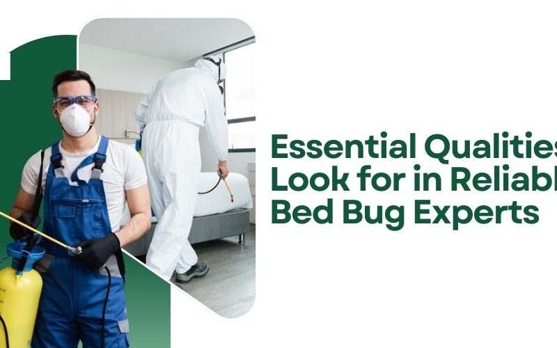 Essential Qualities to Look for in Reliable Bed Bug Experts