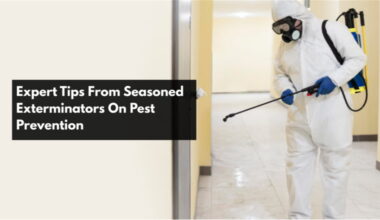 Expert Tips From Seasoned Exterminators On Pest Prevention 1