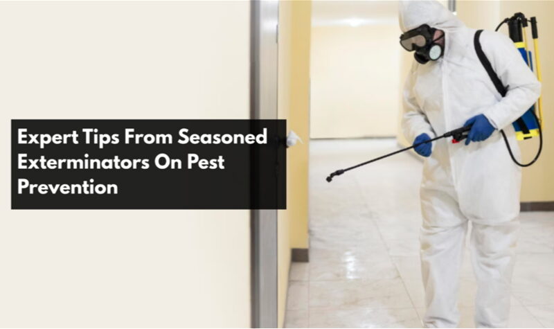 Expert Tips From Seasoned Exterminators On Pest Prevention 1