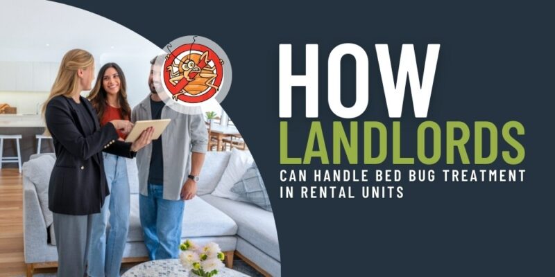 How Landlords Can Handle Bed Bug Treatment in Rental Units