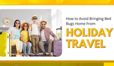 How to Avoid Bringing Bed Bugs Home From Holiday Travel