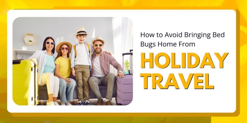 How to Avoid Bringing Bed Bugs Home From Holiday Travel