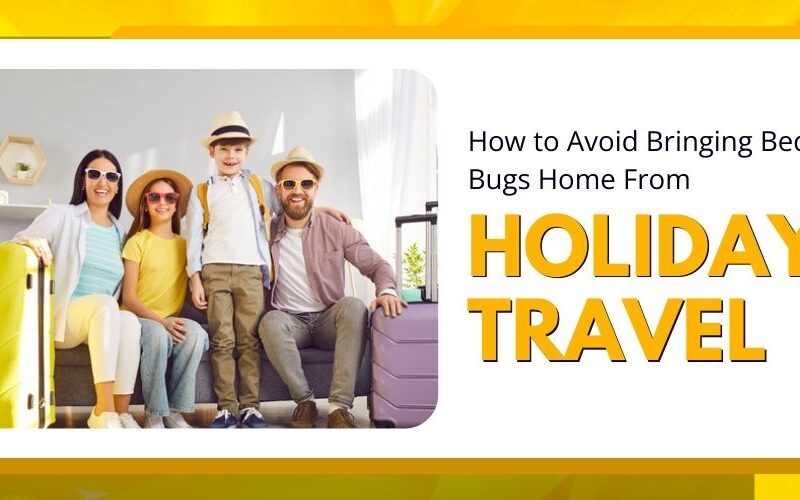 How to Avoid Bringing Bed Bugs Home From Holiday Travel