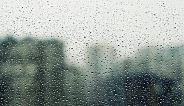 How to Make Your Home Safer After a Storm