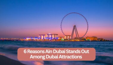 Reasons Ain Dubai Stands Out Among Dubai Attractions