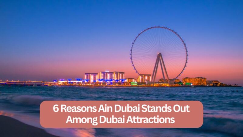 Reasons Ain Dubai Stands Out Among Dubai Attractions