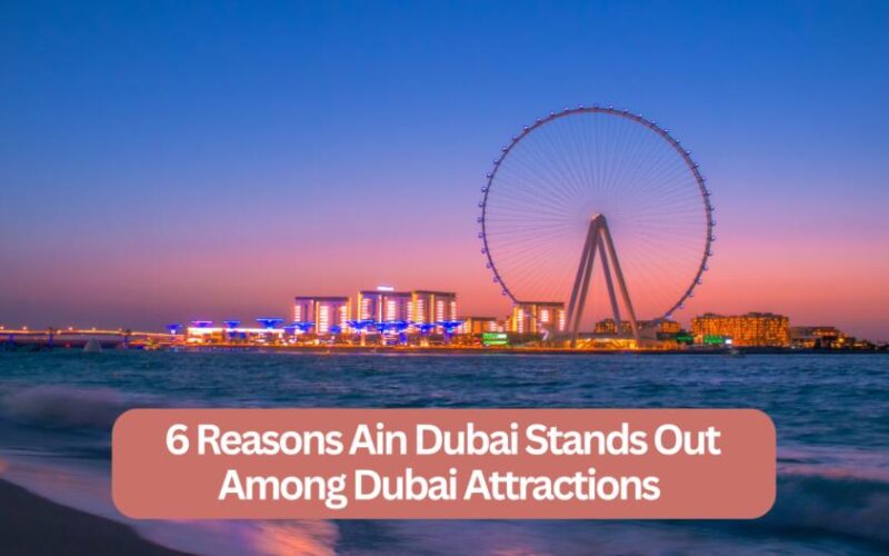 Reasons Ain Dubai Stands Out Among Dubai Attractions