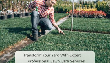 Transform Your Yard With Expert Professional Lawn Care Services 1
