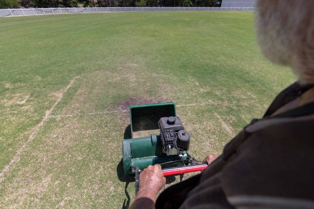 Transform Your Yard With Expert Professional Lawn Care Services 4