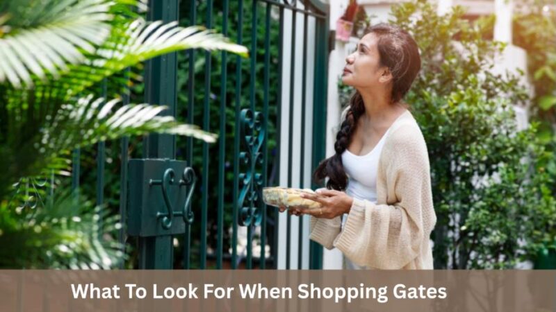 What To Look For When Shopping Gates 1