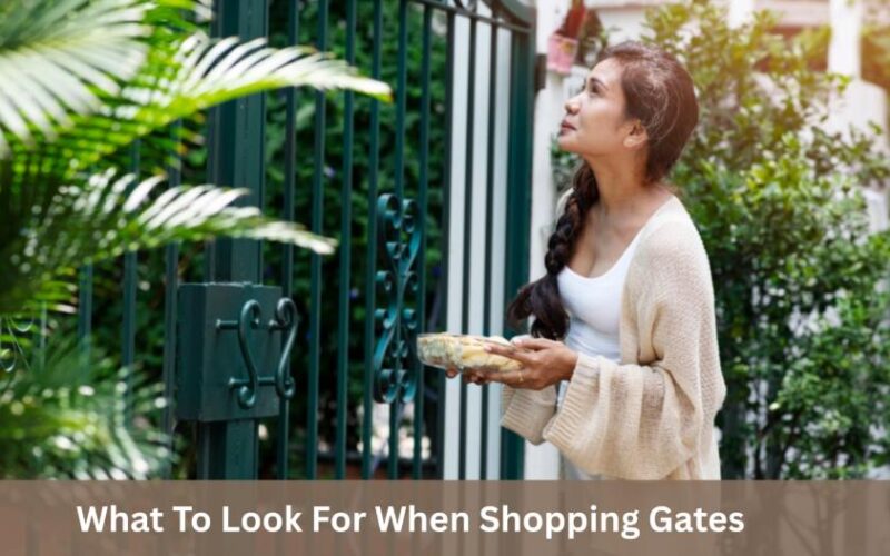 What To Look For When Shopping Gates 1