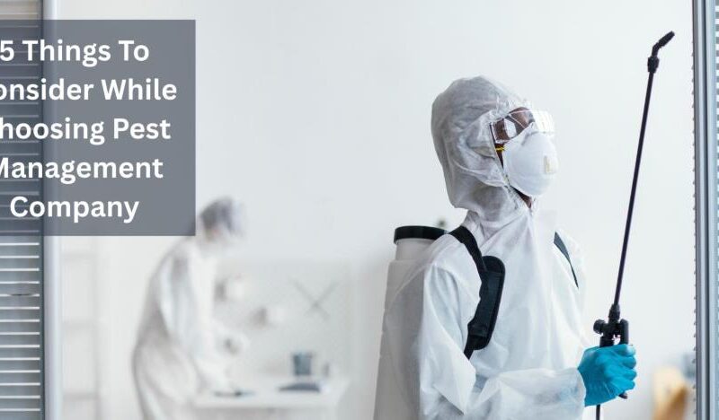 5 Things To Consider While Choosing Pest Management Company 1