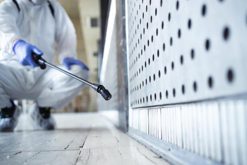 5 Things To Consider While Choosing Pest Management Company 3