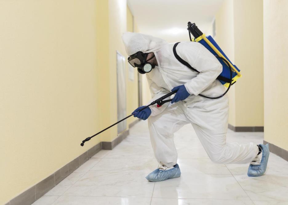 5 Things To Consider While Choosing Pest Management Company 4