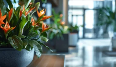 Silk Flowers vs Real Flowers