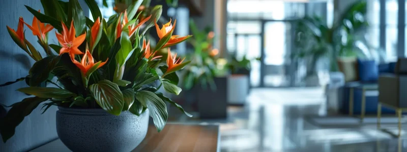 Silk Flowers vs Real Flowers