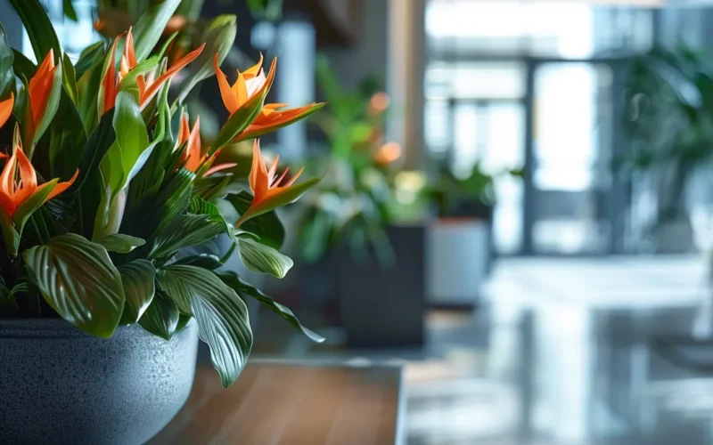 Silk Flowers vs Real Flowers