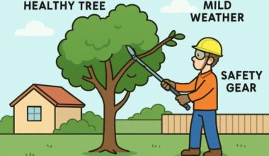 Why Regular Tree Pruning and Trimming Is Essential for Southeast Michigan Homeowners