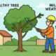 Why Regular Tree Pruning and Trimming Is Essential for Southeast Michigan Homeowners