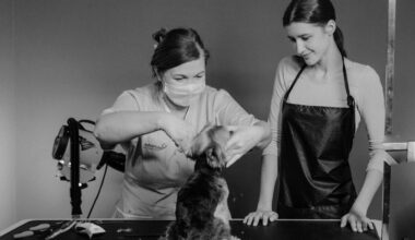 How To Succeed If You Want To Open A Dog Grooming Store 1 1