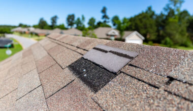 What to Expect During a Professional Shingle Roof Repair Inspection