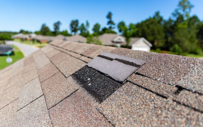 What to Expect During a Professional Shingle Roof Repair Inspection