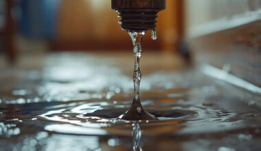 The Importance of Early Water Leak Detection for Homeowners