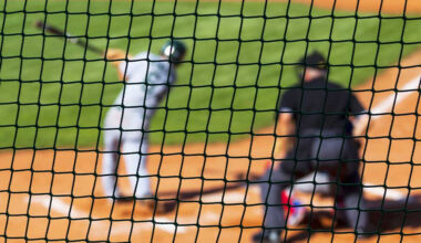 The Role of Protective Netting in Modern Sports Facilities