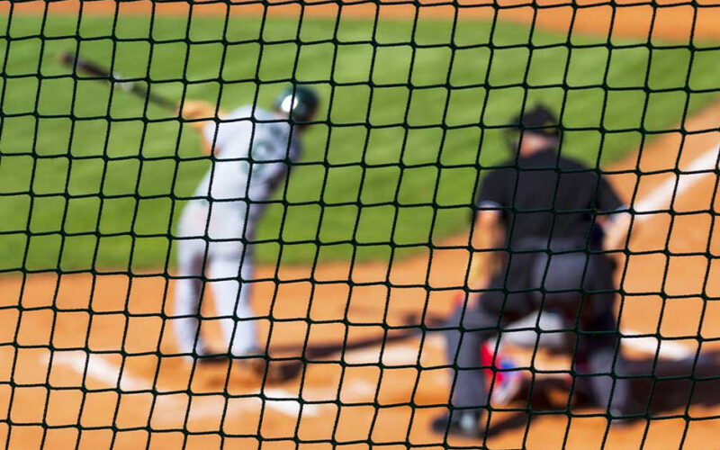 The Role of Protective Netting in Modern Sports Facilities