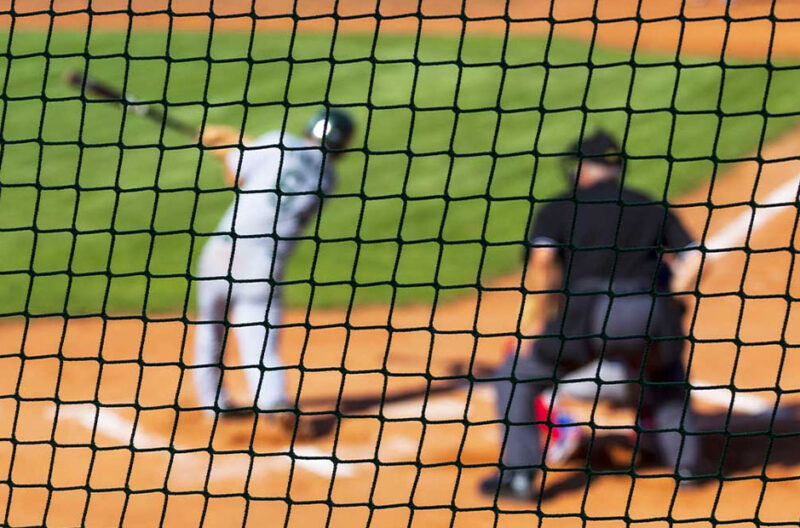The Role of Protective Netting in Modern Sports Facilities