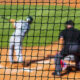 The Role of Protective Netting in Modern Sports Facilities