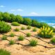 Coastal Landscaping Strategies for the Outer Banks and Coastal North Carolina