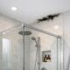 Health Risks Associated with Mold
