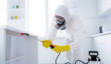 The Importance of Early Pest Detection Protect Your Home and Health