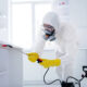 The Importance of Early Pest Detection Protect Your Home and Health