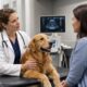 How to Choose the Right Veterinary Specialist for Your Pet