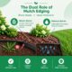 Edging for Mulch Keep Your Beds Neat and Tidy